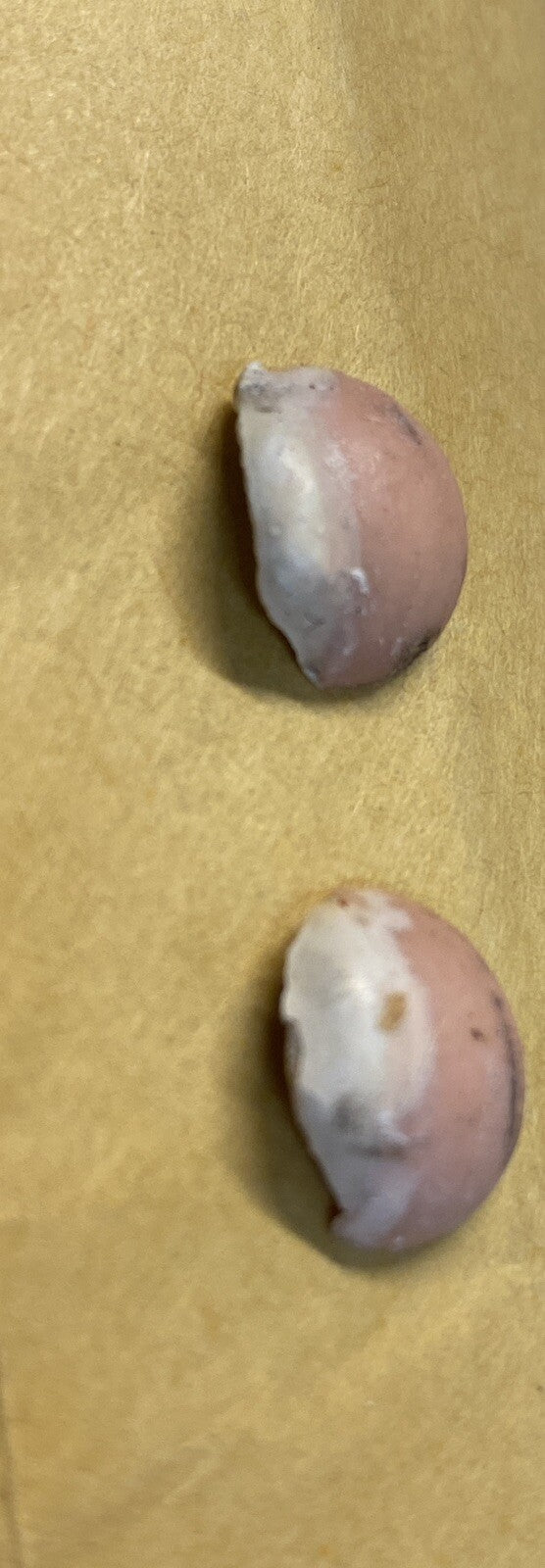 Pair - Antique Doll Eyes eyelids eye lids