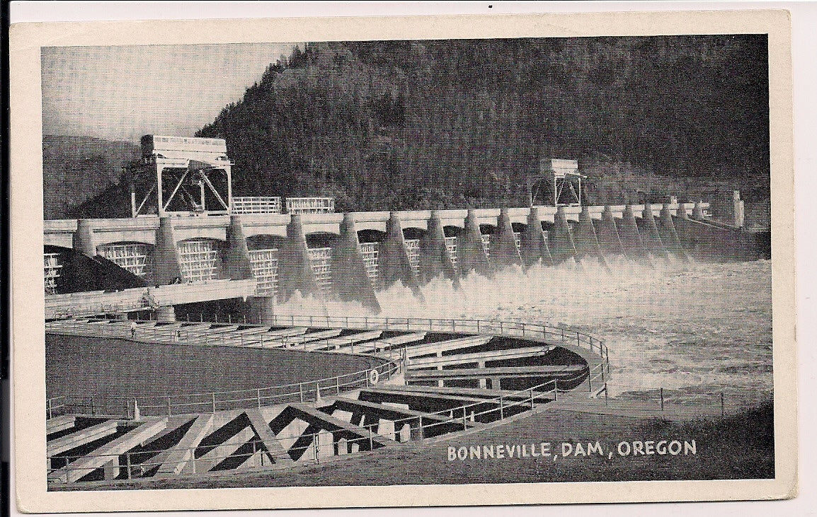 Bonneville Dam Oregon OR Postcard