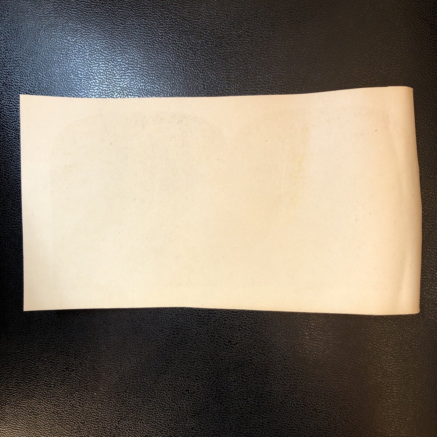 RARE Stereoview Paper Cards Tropical Walk Florida Palm Trees