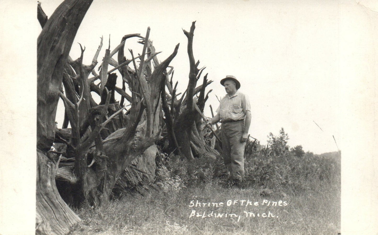 Real Photo Shrine of the Pines Baldwin Mich MI Michigan Postcard Tree Fence Wall