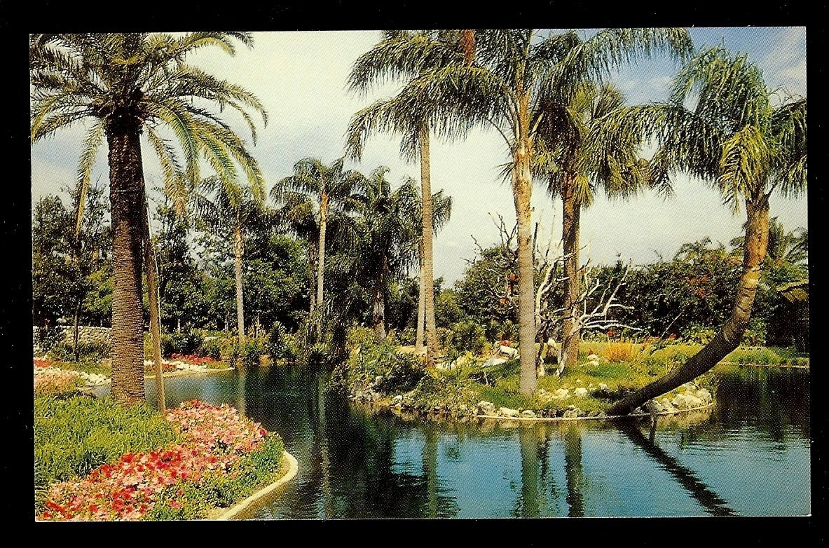 A Scene at Busch Gardens Tampa Florida Amusement Park Postcard FL