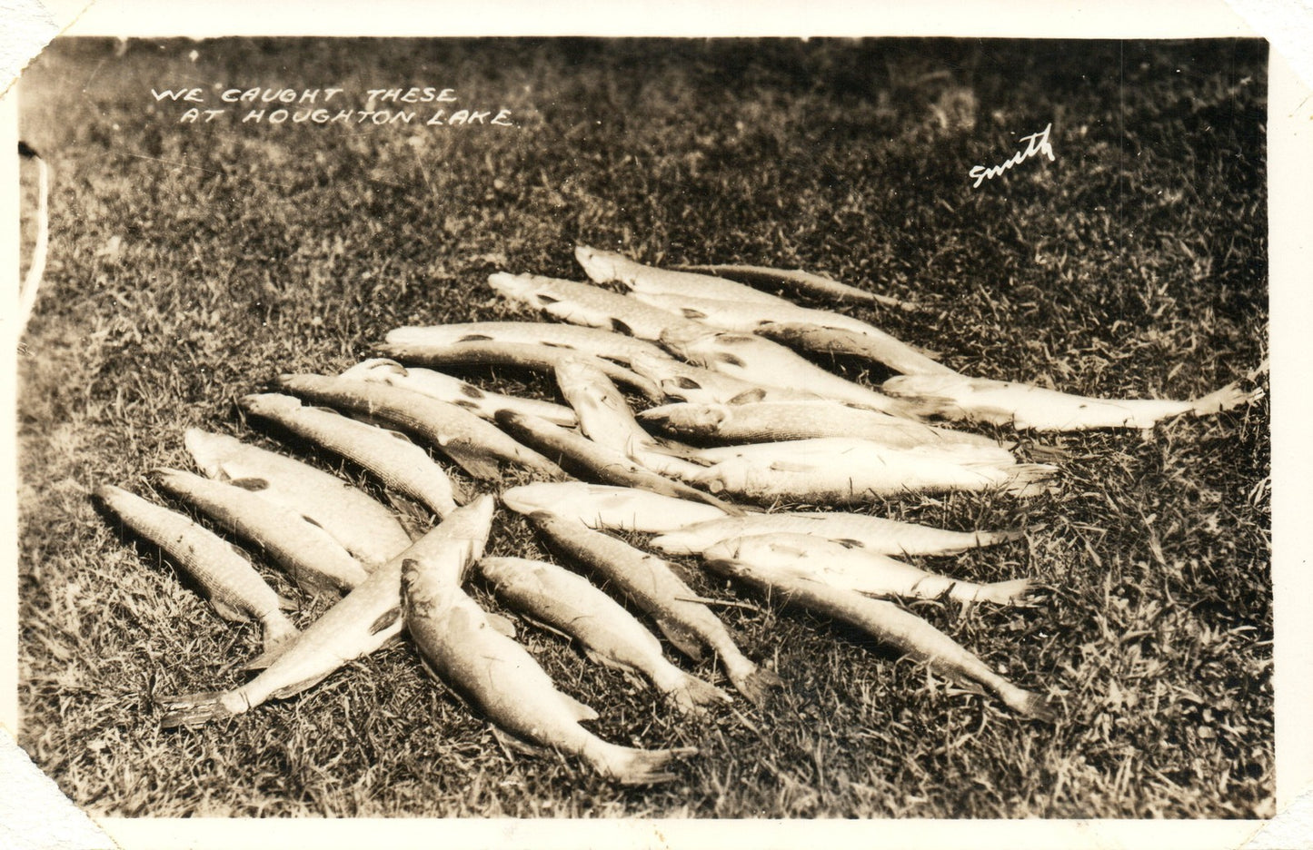 RPPC Real Photo Fish caught at Houghton Lake Michigan Postcard