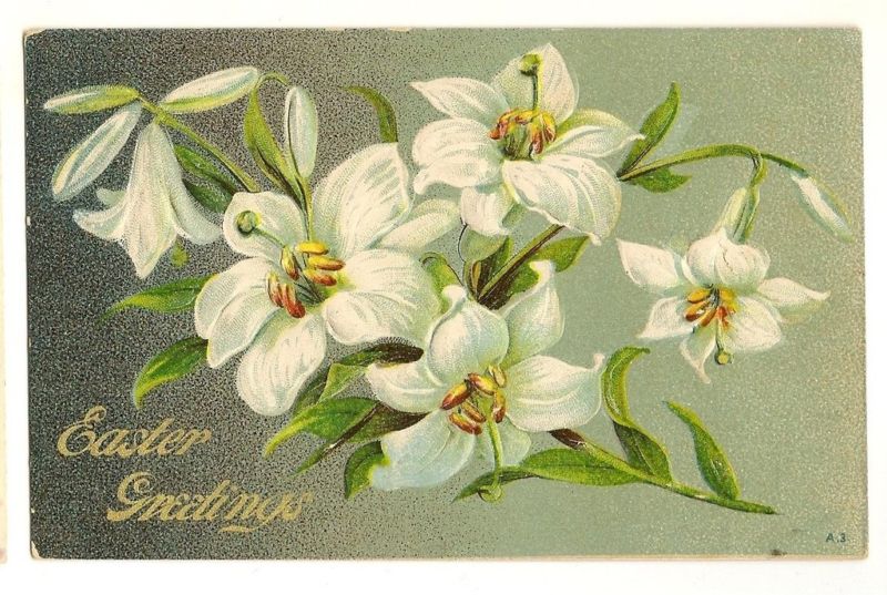 Embossed Lily Easter Postcard Series A 3