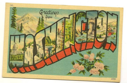 Washington Large Letter Fish Pink Carnation Postcard