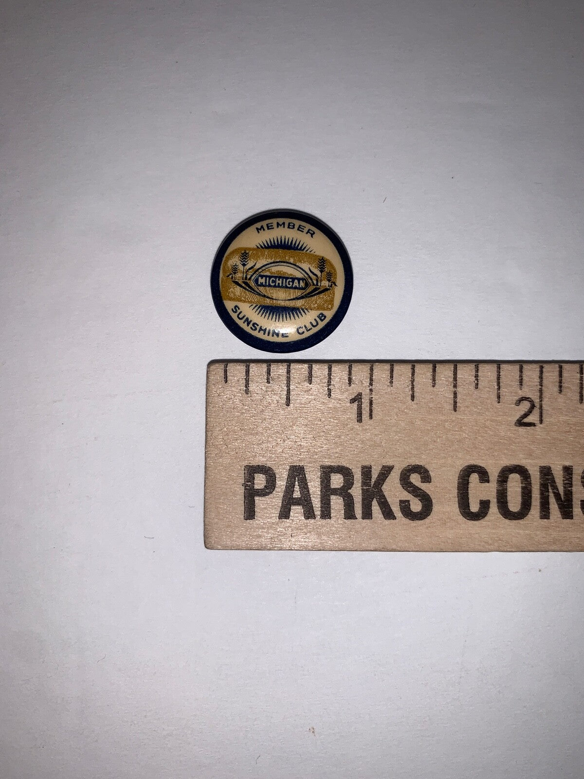 Vintage Member Michigan Sunshine Club 7/8" Celluloid Pinback