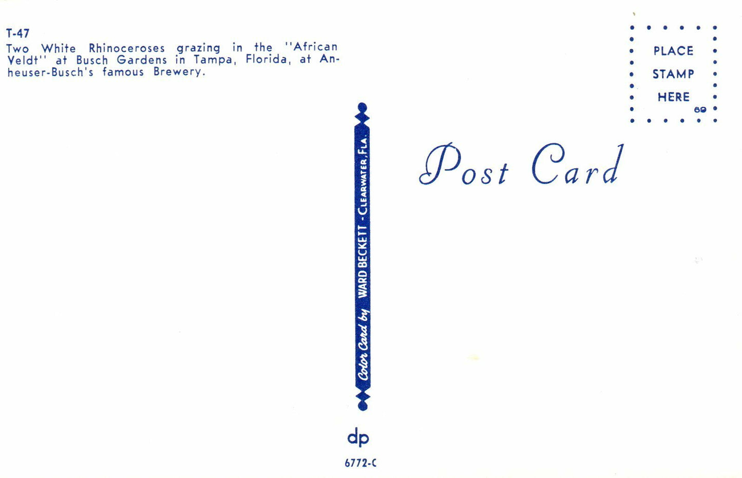 Two White Rhinoceroses Busch Gardens In Tampa Florida Busch Gardens Postcard