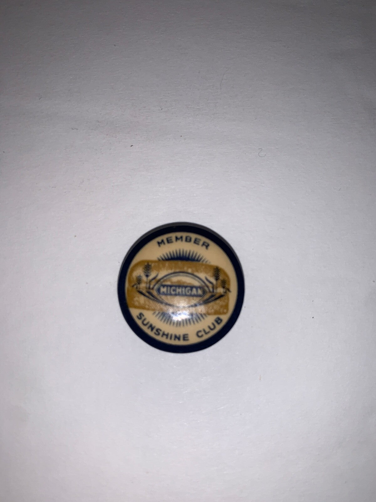 Vintage Member Michigan Sunshine Club 7/8" Celluloid Pinback