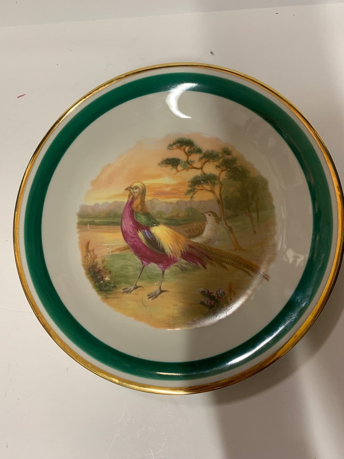 8in Porcelain German Pheasant Bird Plate Schwarzenhammer Germany Vintage Plate