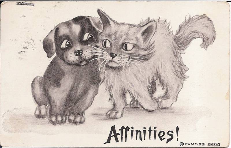 Artist Signed FA Moss 6460 "Affinities!" Cat Dog Snuggling Postcard