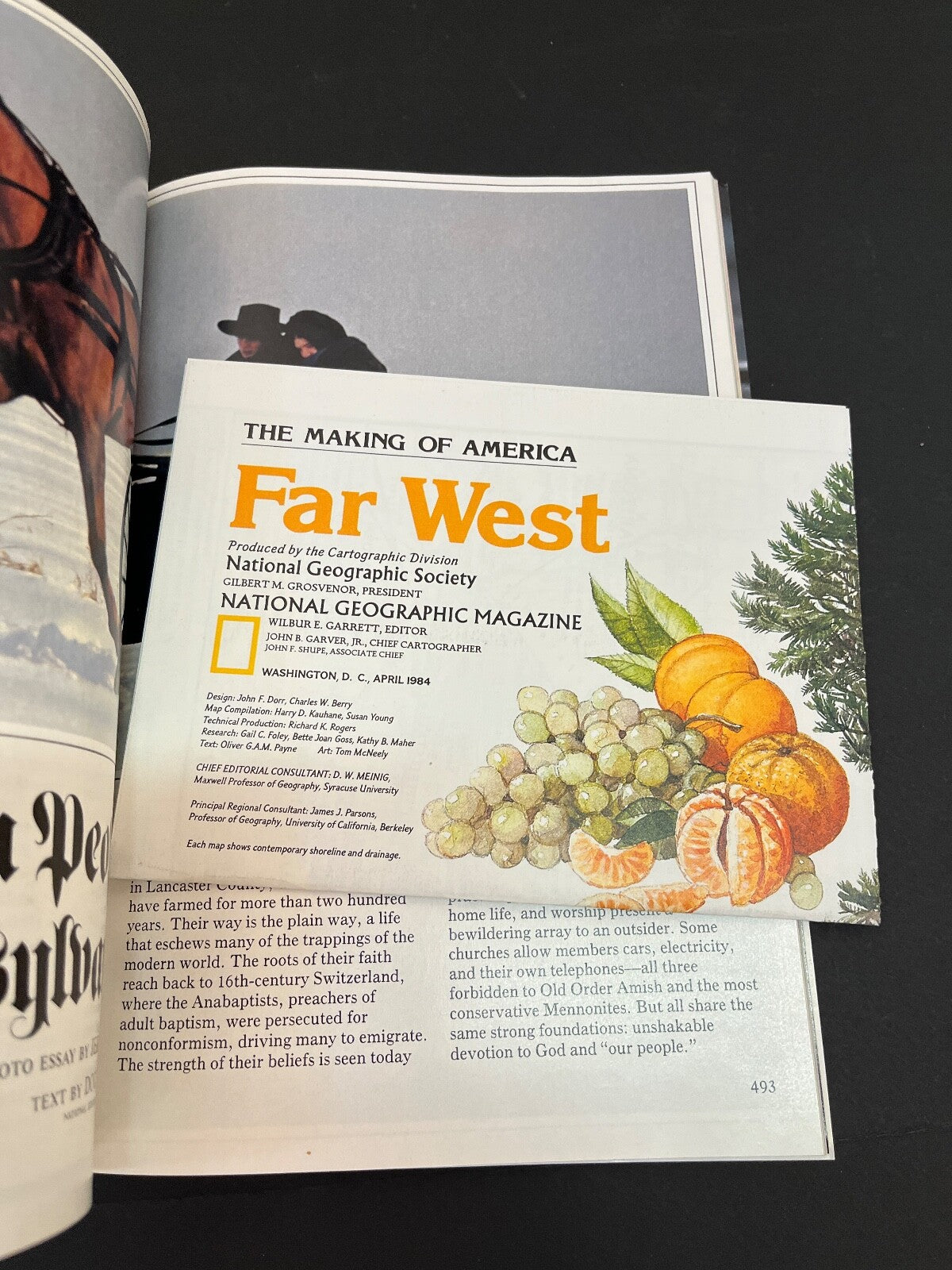 April 1984 National Geographic Magazine Blue Heron Greenland Narwhal Japan IZU