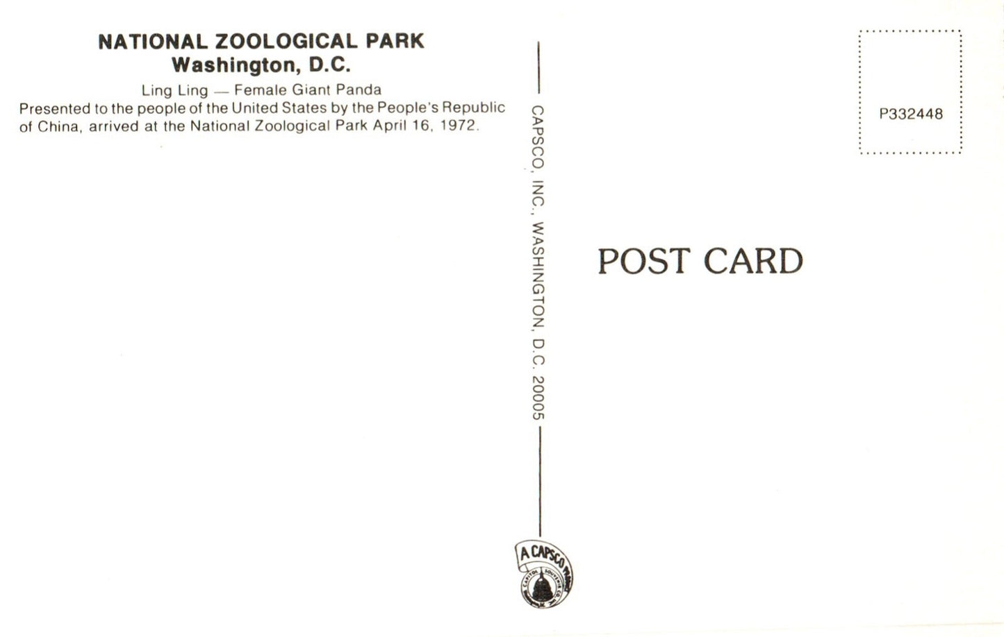 Ling Ling National Zoological Park in Washington D.C. Panda Bear Animal Postcard