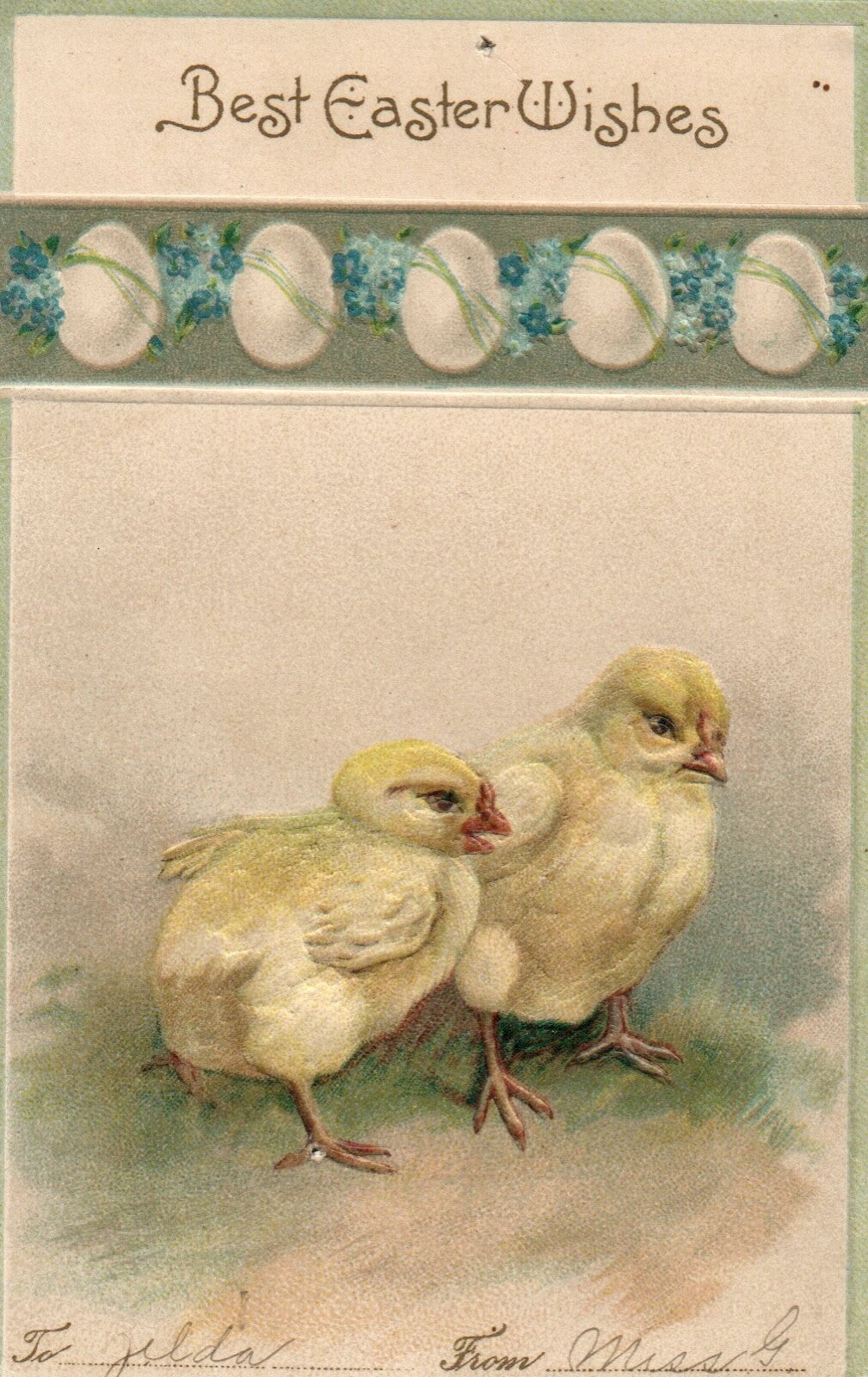 Embossed Forget Me Not Flowers and Chicks Easter Greetings Postcard