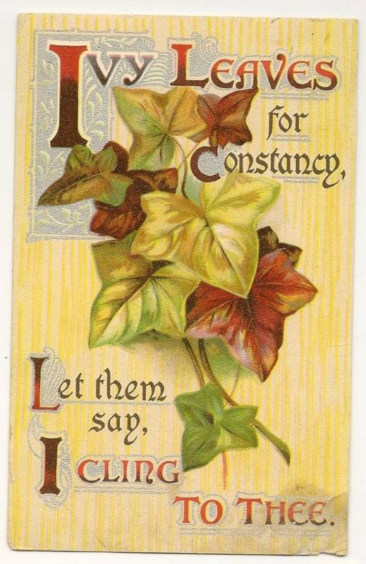 Ivy Leaves for Constancy Cling Series Greeting Postcard