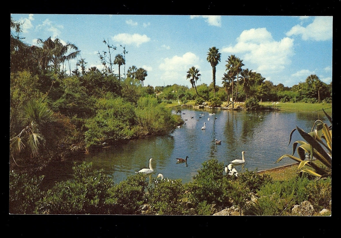 Lagoon at Busch Gardens Amusement Park Postcard Tampa Florida FL
