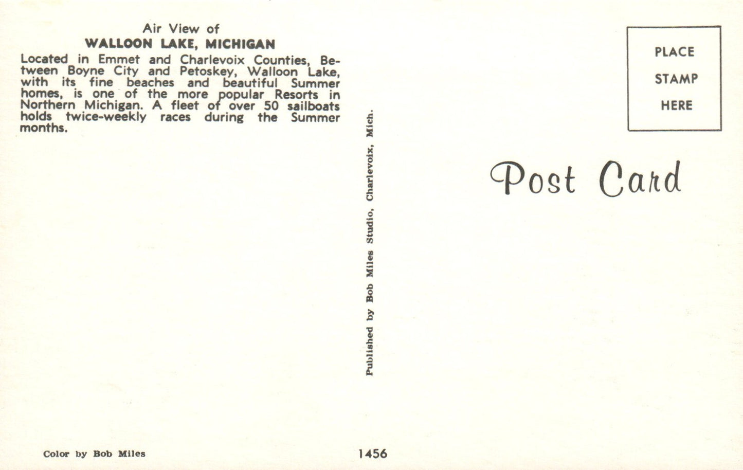 Walloon Lake Overview MI Michigan Mich Postcard