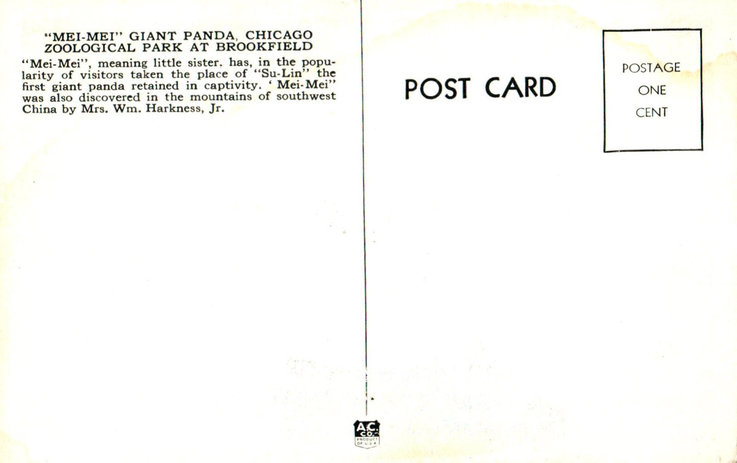 Mei-Mei Giant Panda at Chicago Zoological Park Panda Bear Animal Postcard