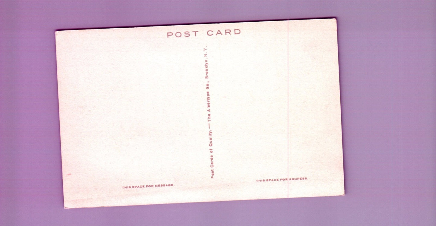 The Willows at Willow Bank Cazenovia NY New York Vintage Postcard