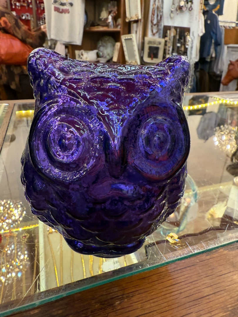 Purple Owl