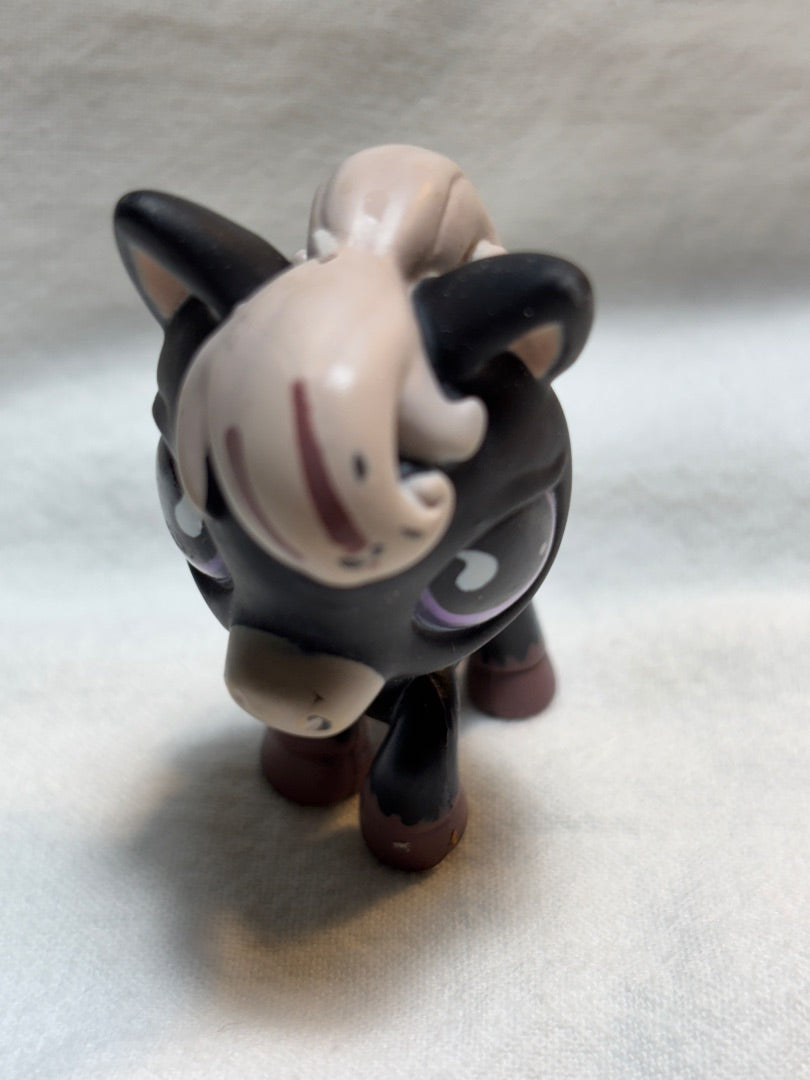 LPS Black Grey Horse GSK