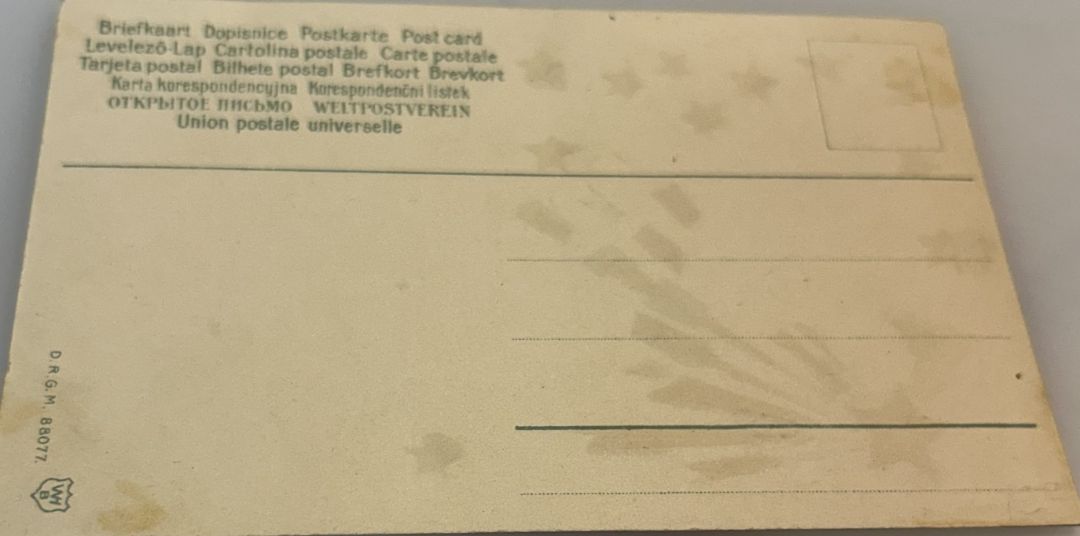 Cabin At Night With Snow Bushes In Front