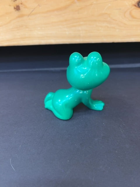 Happy Green frog posing