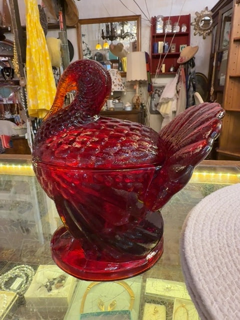 Red Red amberdina rooster