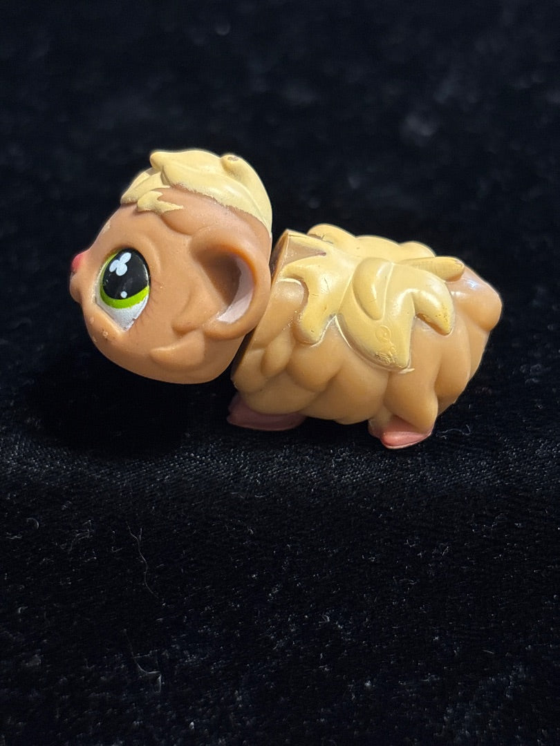 GSK LPS Brown/Beige Guinea Pig #753