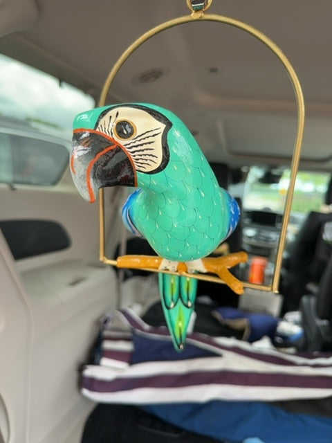 Mexican parrot HM