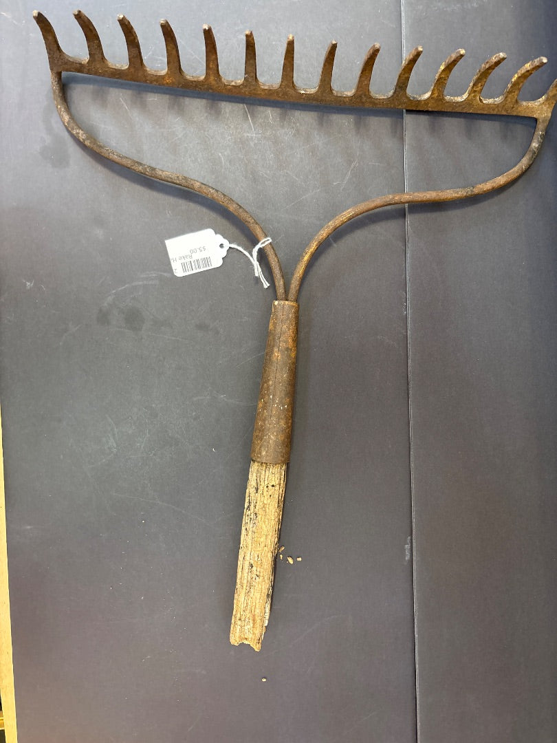 Rake Handle