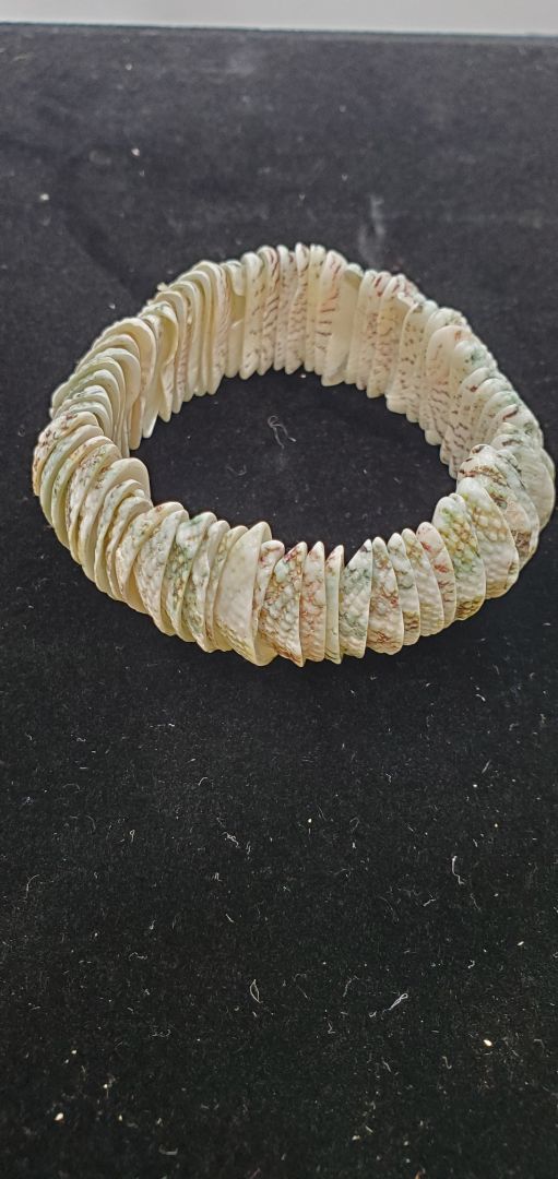 Natural Shell Bracelet