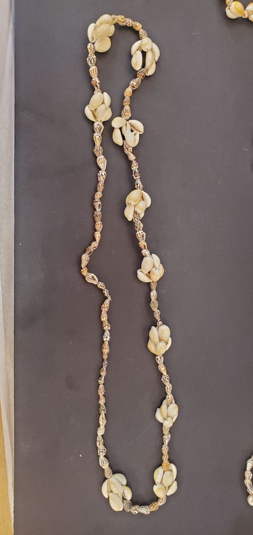 Shell Necklaces