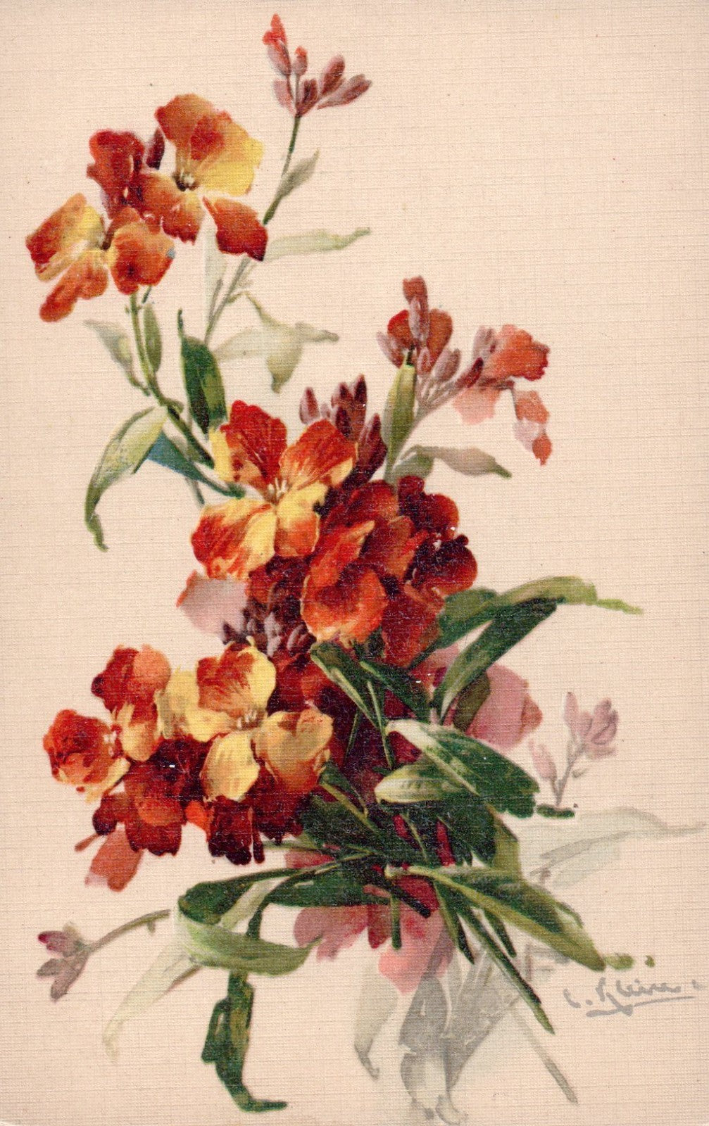 Artist Signed Catherine Klein Flowers Vintage Postcard #1611