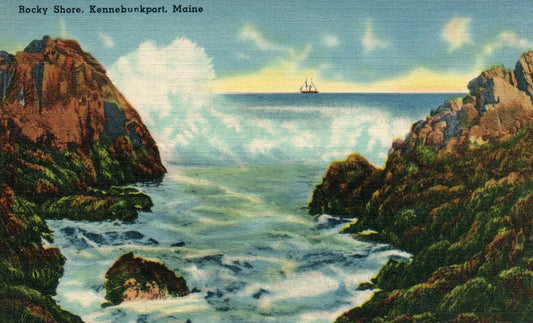 65551 Rocky Shore Kennebunkport  Maine ME Postcard
