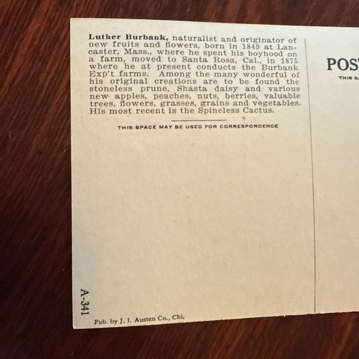 Luther Burbank by J I Austen Postcard Angels Trumpets c1910's *Scarce