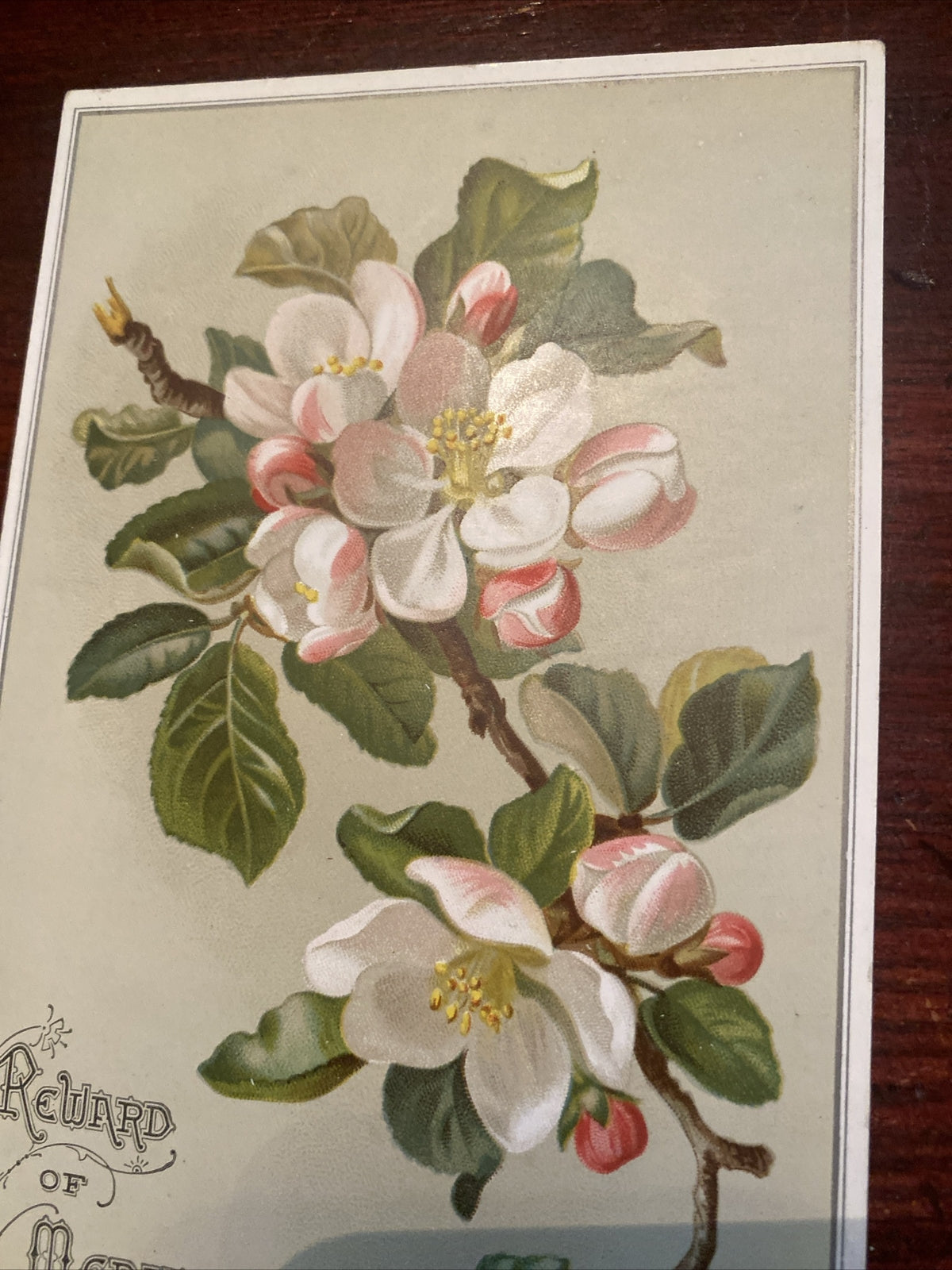 Reward of merit Vintage Victorian School Ephemera Apple Blossom Tree