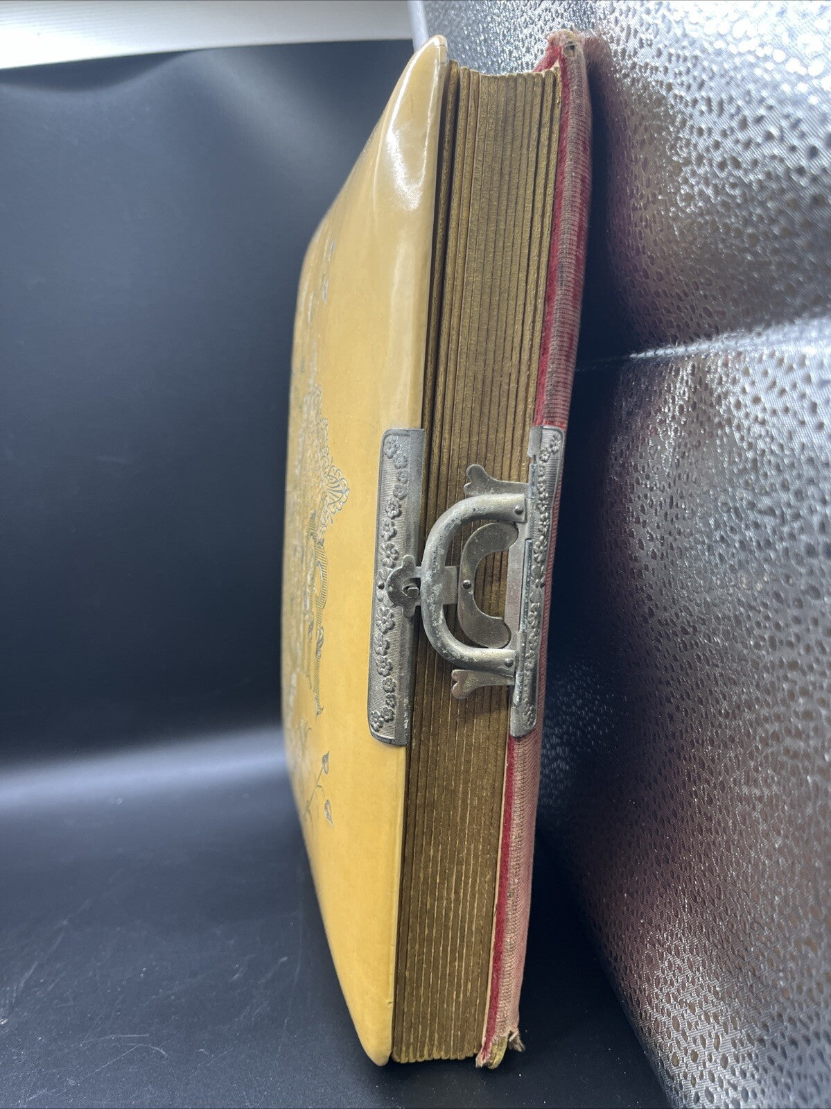 Antique Victorian Celluloid Photo Album