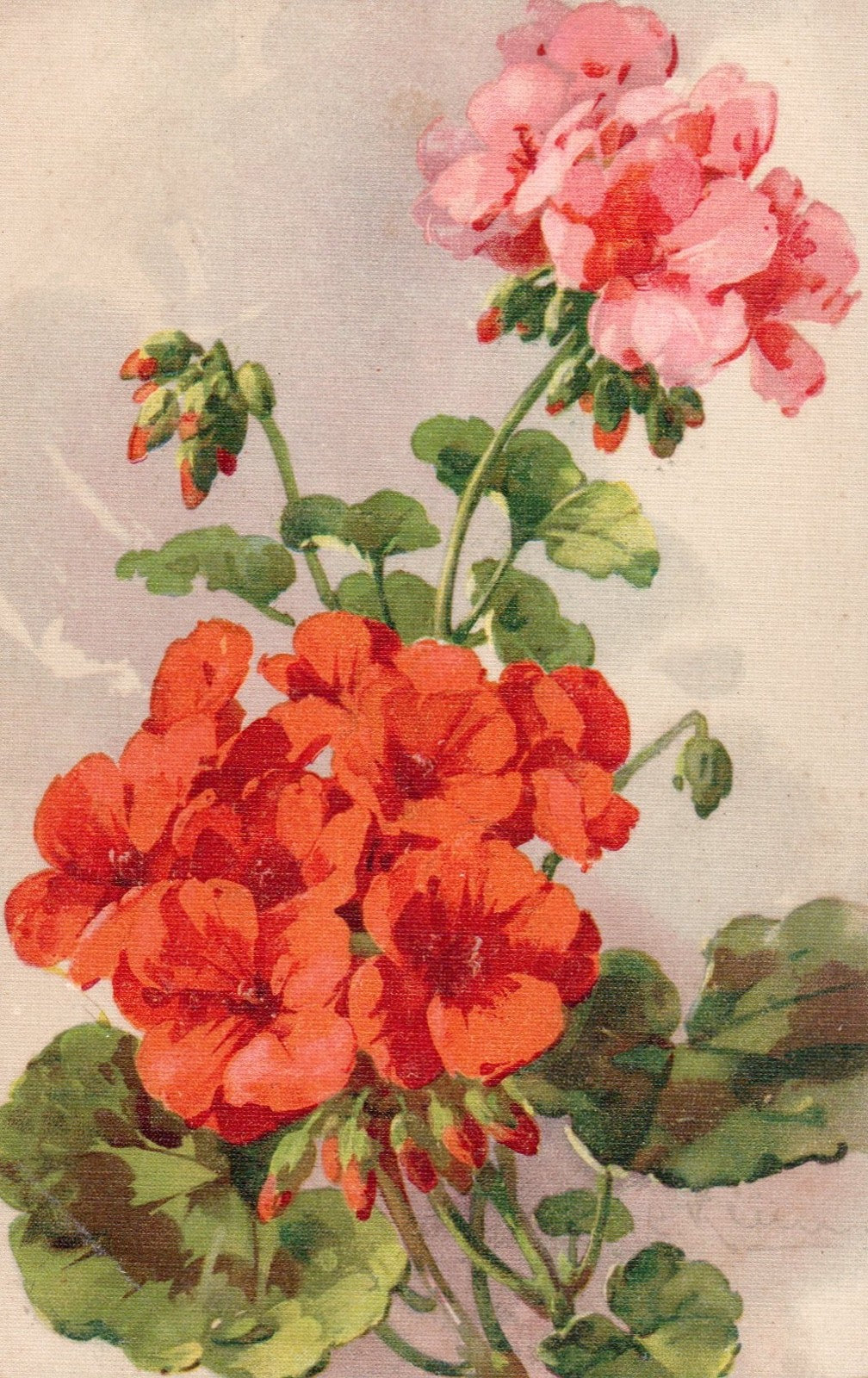 Artist  Signed Catherine Klein Floral