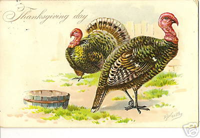 Tuck Thanksgiving Day Embossed Tom Turkey and Hen Postcard Series 123