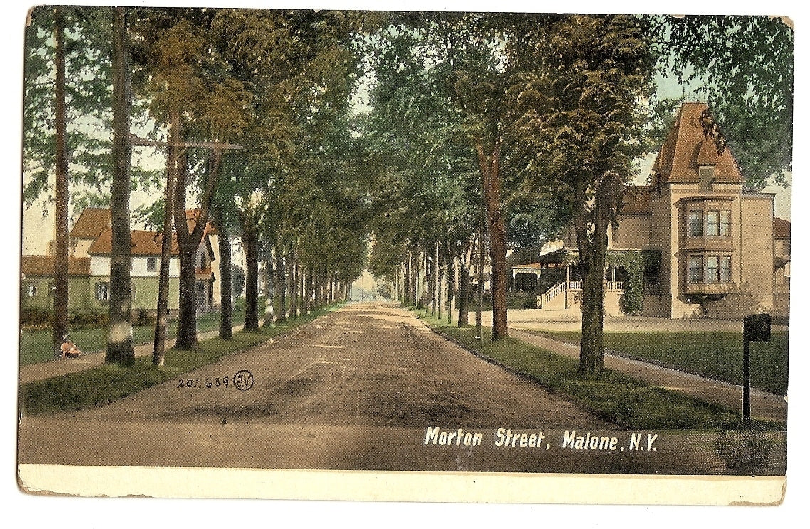 Street View of Morton Street Malone NY Postcard
