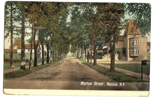 Street View of Morton Street Malone NY Postcard