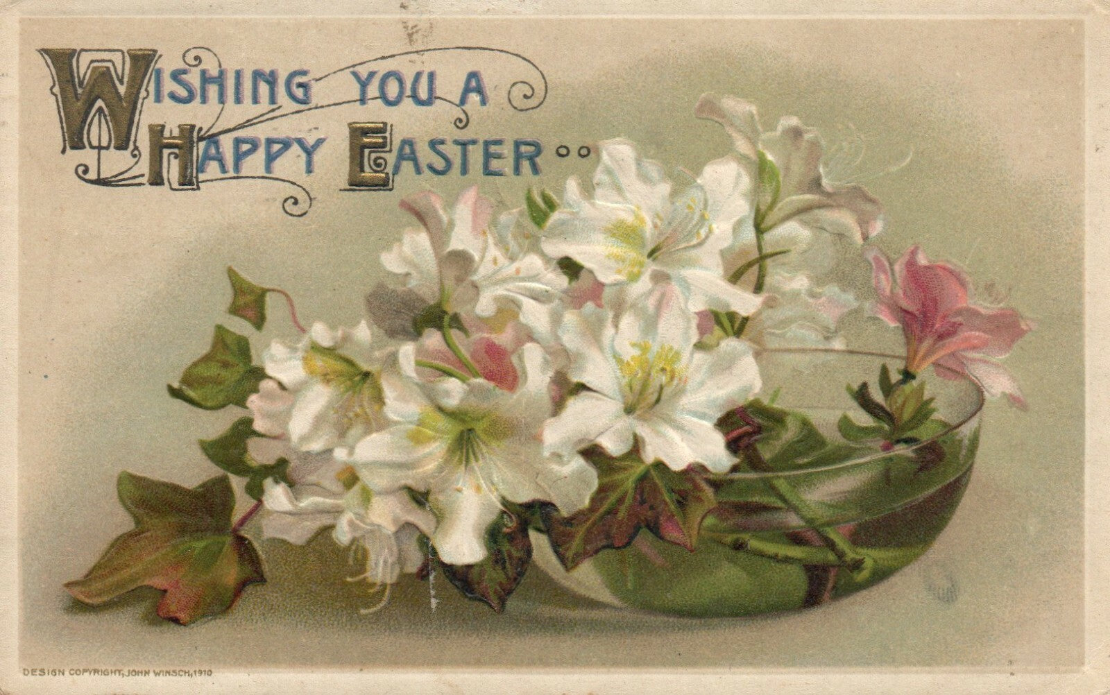  John Winsch  Lily Flowers in Bowl Series Vintage Postcard