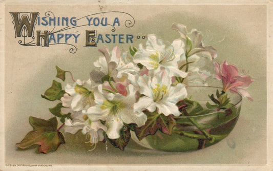  John Winsch  Lily Flowers in Bowl Series Vintage Postcard