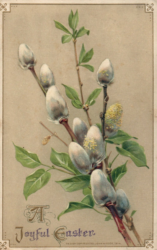 1917 John Winsch A Happy Easter Pussy Willow Wishes 3 of 3 Series 4104