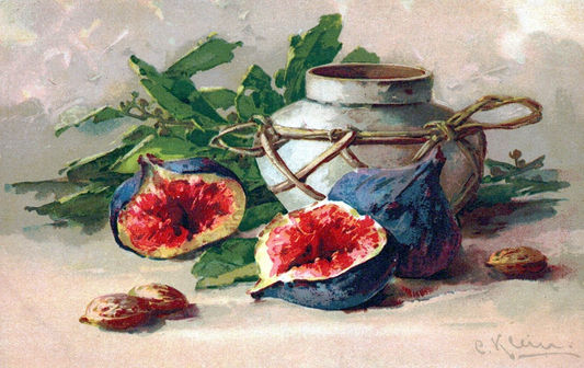 Vintage Caroline Klein Artist Signed Fruit Seeds Vase Post Card