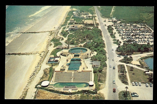 Aerial View of Marineland Florida Famous Oceanarium Amusement Park Postcard