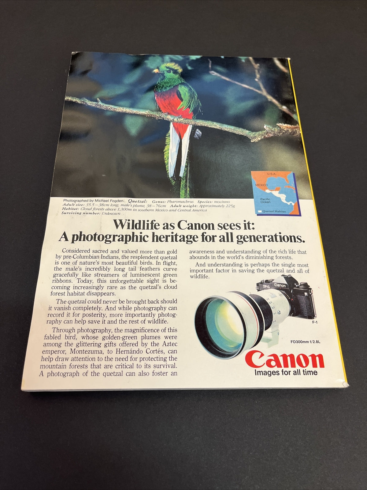 February 1985 National Geographic Greenland's 500 Year Old Mummies