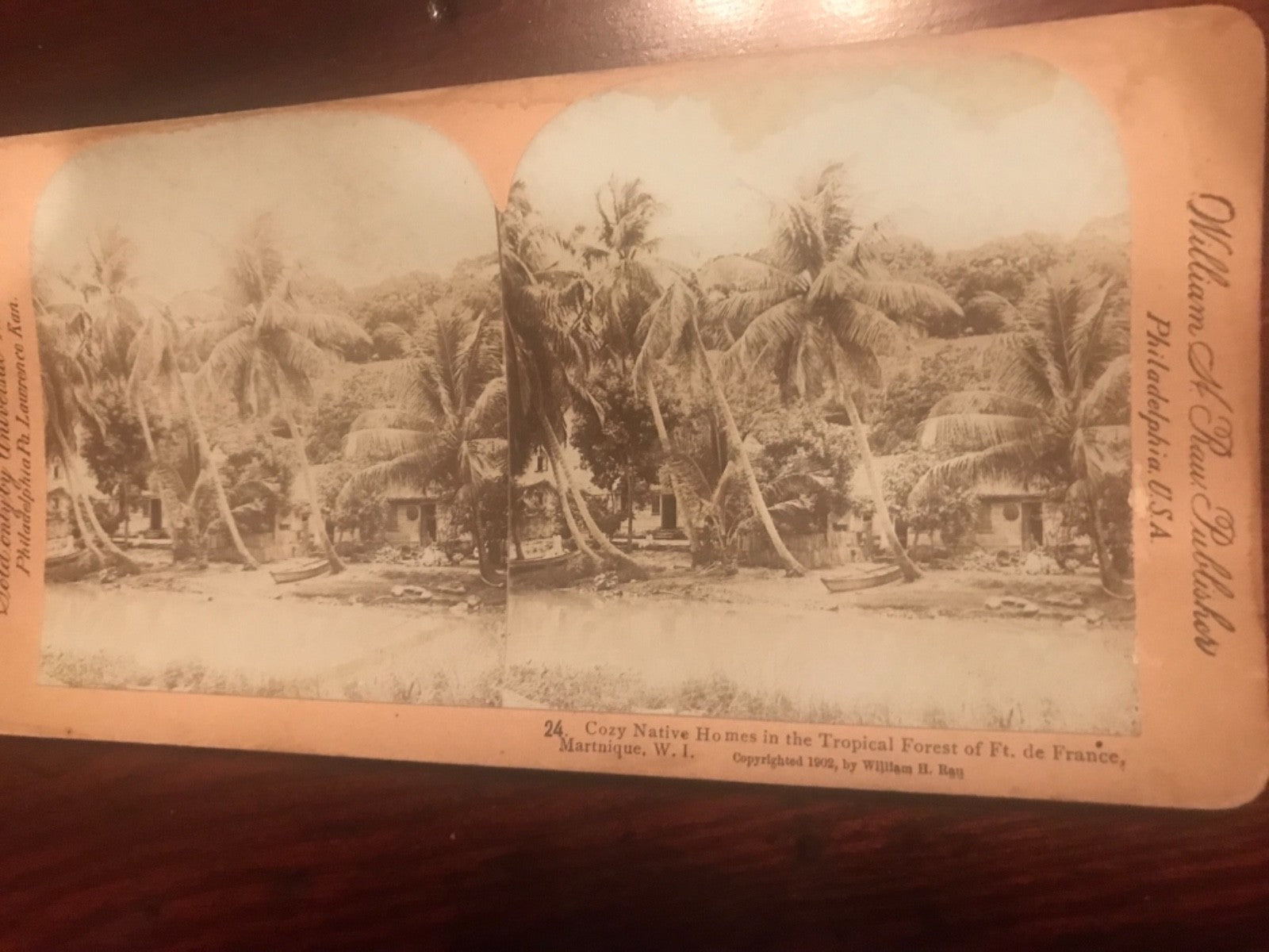 Real photo stereoview #24 Homes Tropical Forest Ft de France Martinique WI 