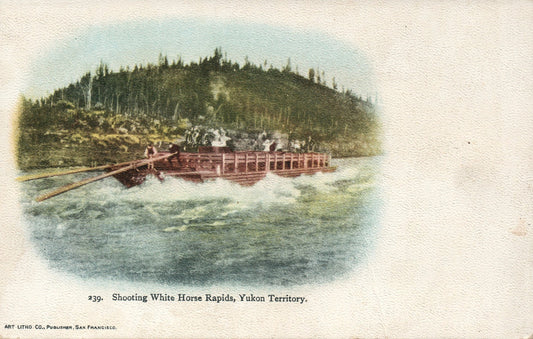 #39 Shooting White Horse Rapids Yukon Territory Alaska AK Postcard