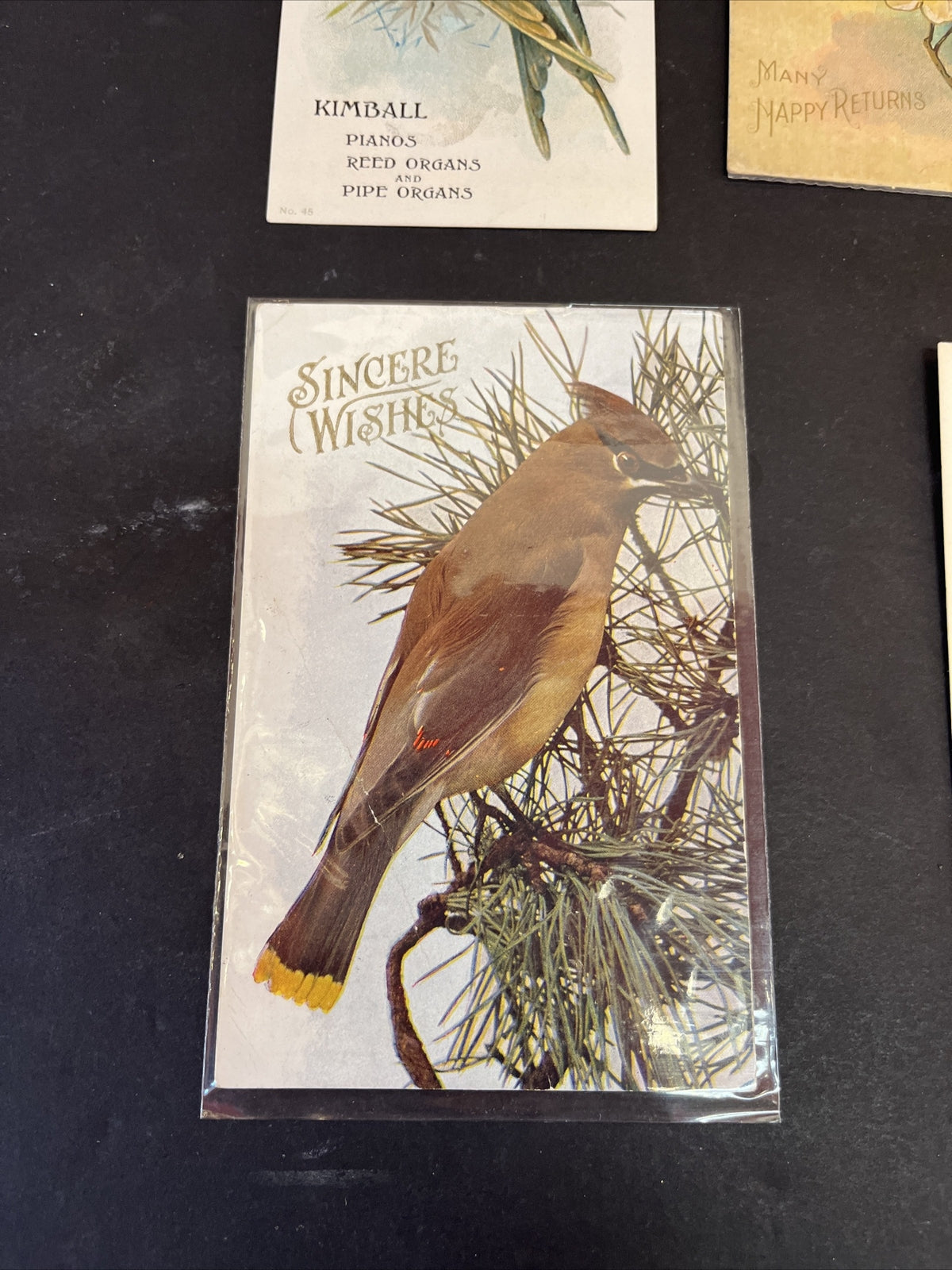 Set of 6 NEW Bird Postcards