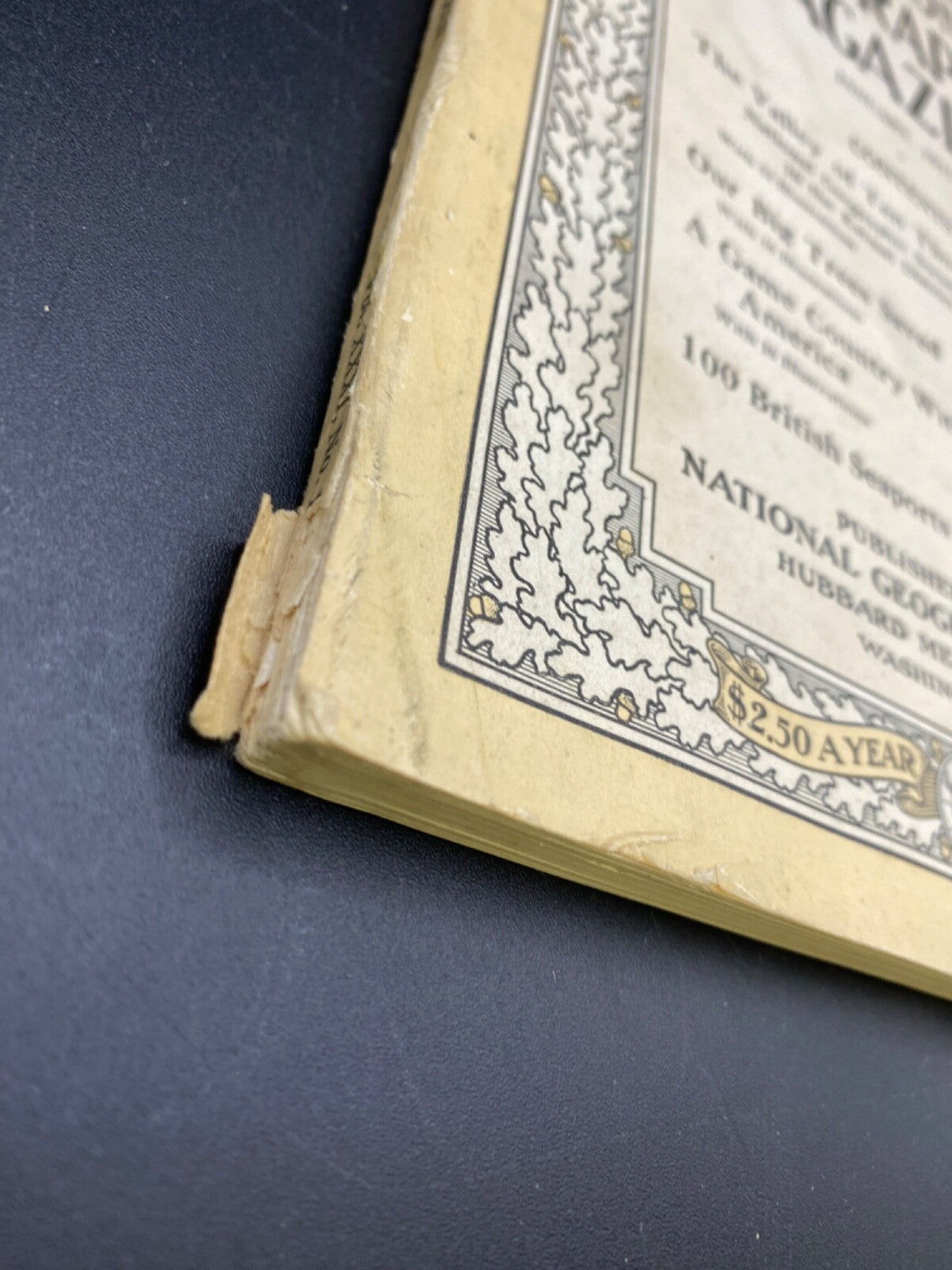 RARE National Geographic-JAN 1917 100 BRITISH SEAPORTS.